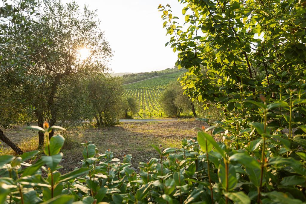 Tenuta Di Monaciano Ponte A Bozzone Eksteriør billede