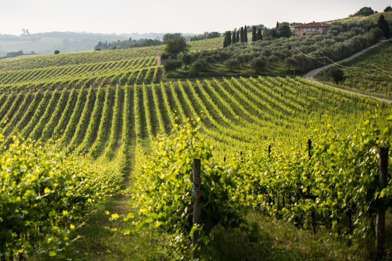 Tenuta Di Monaciano Ponte A Bozzone Eksteriør billede